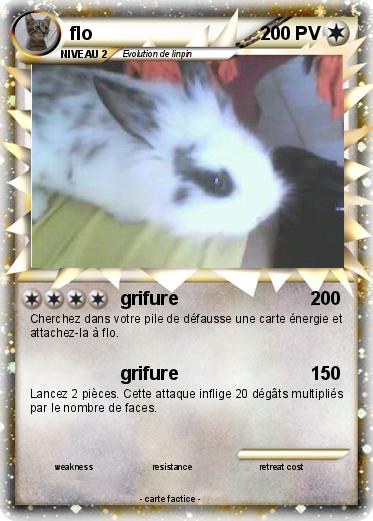 Pokemon flo