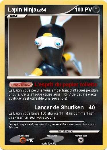 Pokemon Lapin Ninja