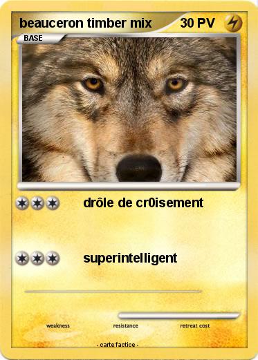 Pokemon beauceron timber mix