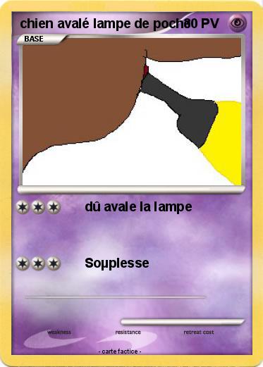 Pokemon chien avalé lampe de poche