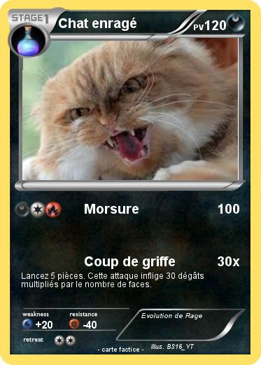 Pokemon Chat enragé