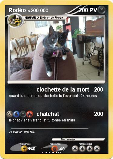 Pokemon Rodéo
