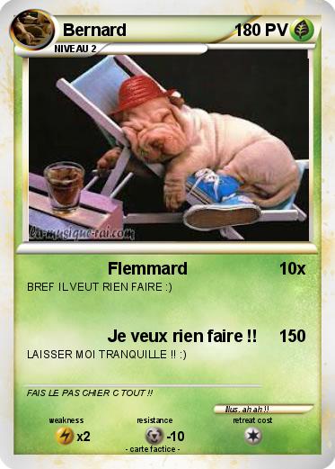 Pokemon Bernard