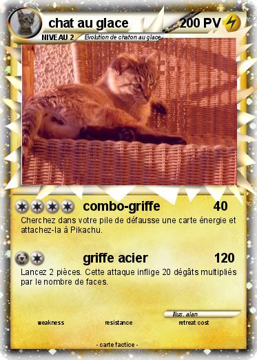 Pokemon chat au glace