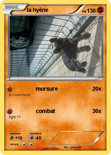 Pokemon la hyène