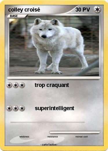 Pokemon colley croisé