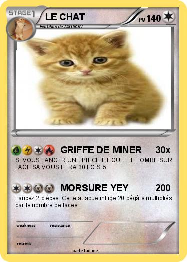 Pokemon LE CHAT