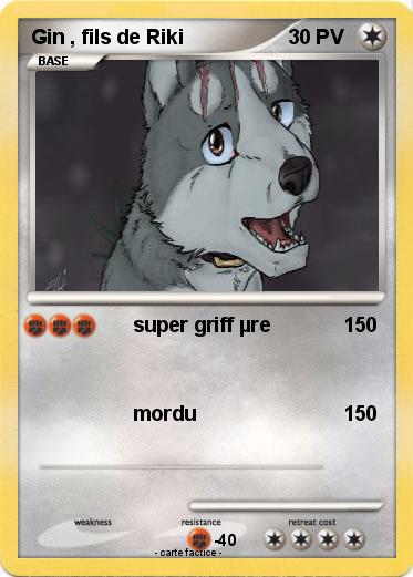 Pokemon Gin , fils de Riki