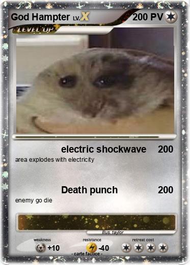 Pokemon God Hampter