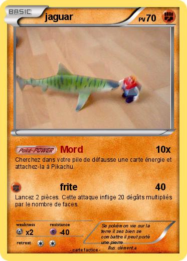 Pokemon jaguar
