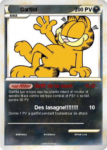 Pokemon Garfild