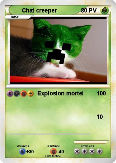 Pokemon Chat creeper