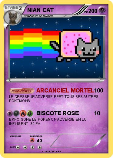 Pokemon NIAN CAT