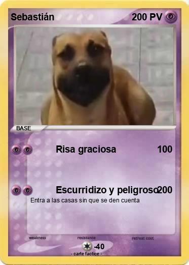Pokemon Sebastián