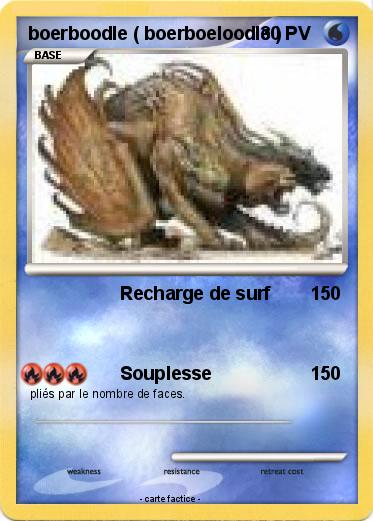 Pokemon boerboodle ( boerboeloodle )