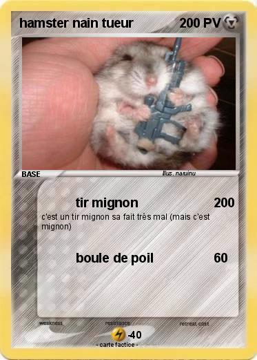 Pokemon hamster nain tueur