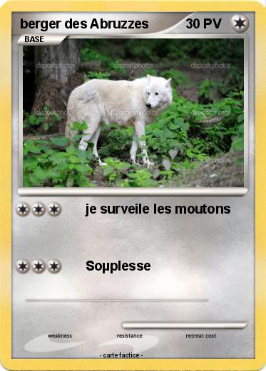 Pokemon berger des Abruzzes