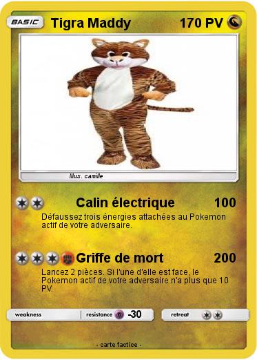 Pokemon Tigra Maddy