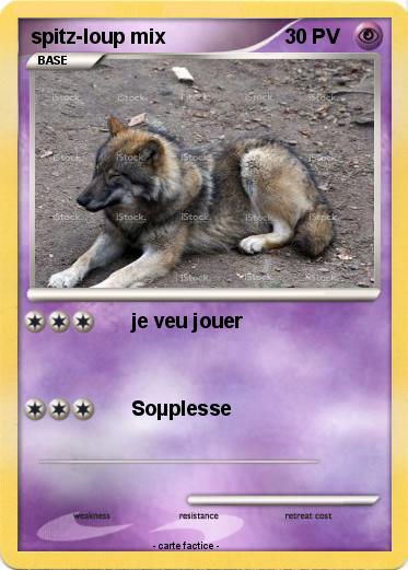 Pokemon spitz-loup mix