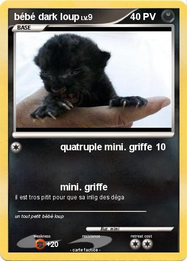 Pokemon bébé dark loup