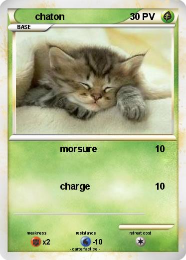Pokemon chaton