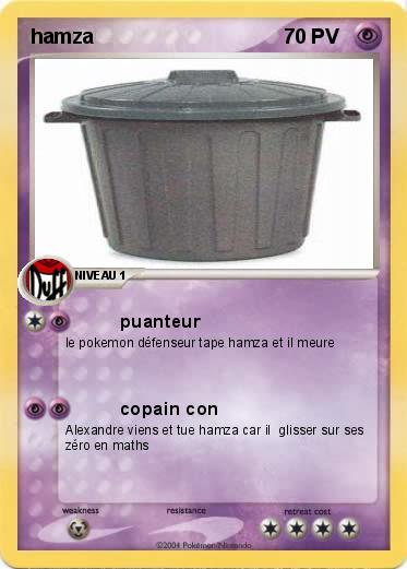 Pokemon hamza