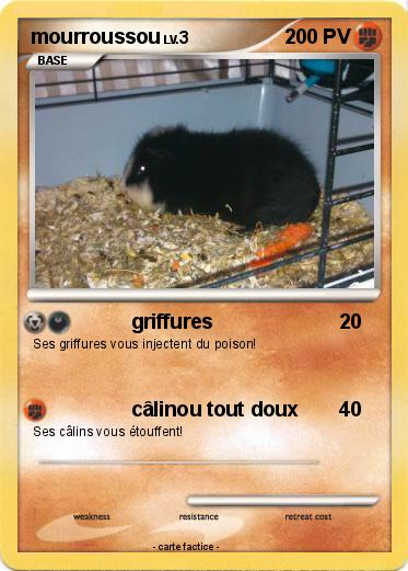 Pokemon mourroussou