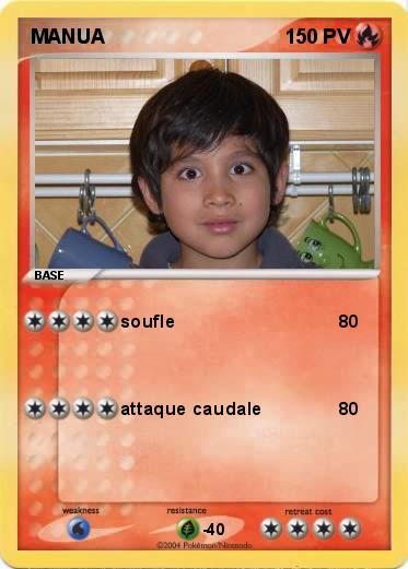 Pokemon MANUA