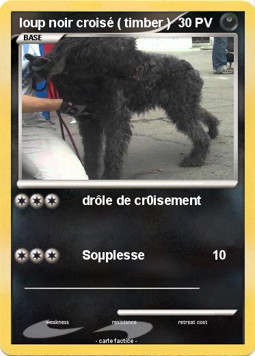 Pokemon loup noir croisé ( timber )
