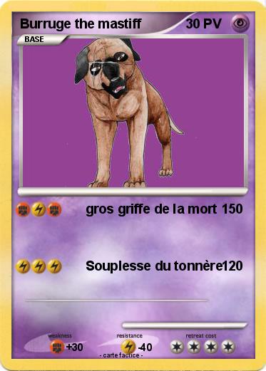 Pokemon Burruge the mastiff