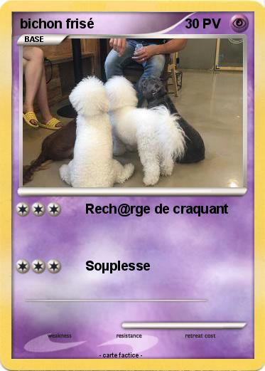 Pokemon bichon frisé