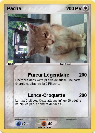Pokemon Pacha
