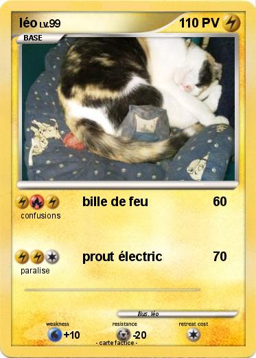 Pokemon léo