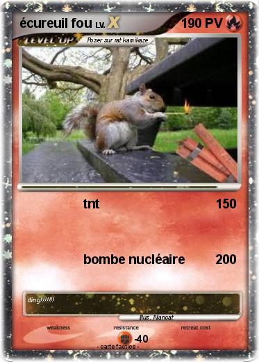 Pokemon écureuil fou
