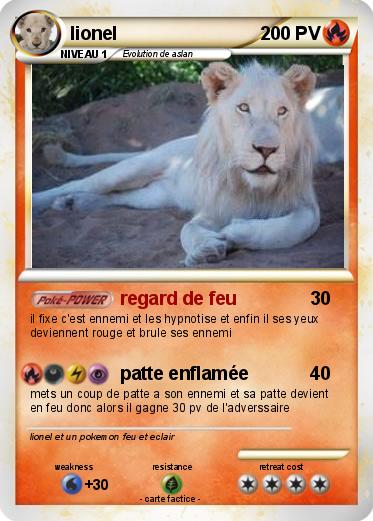 Pokemon lionel