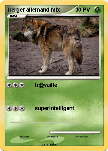 Pokemon berger allemand mix