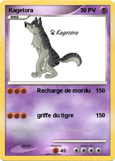 Pokemon Kagetora