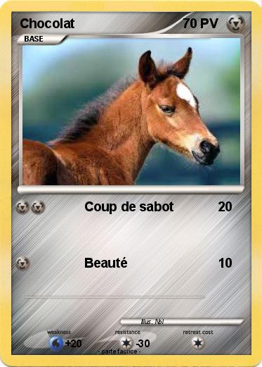Pokemon Chocolat