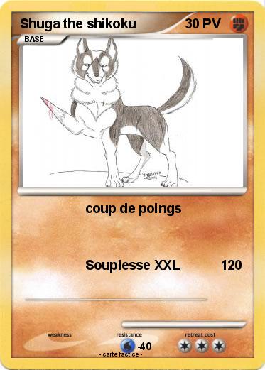 Pokemon Shuga the shikoku