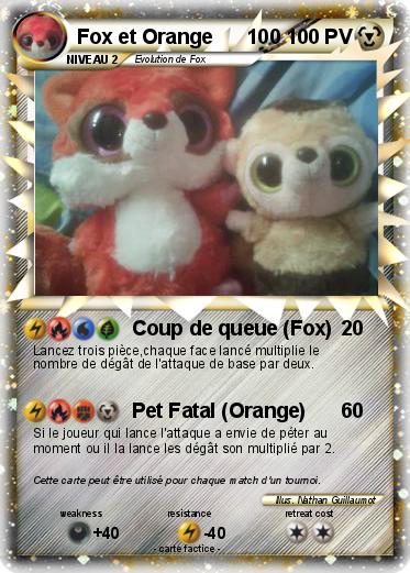 Pokemon Fox et Orange      100