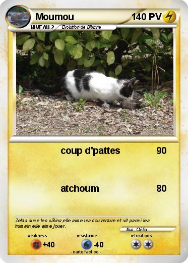 Pokemon Moumou