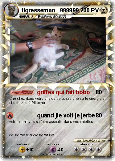 Pokemon tigresseman   999999