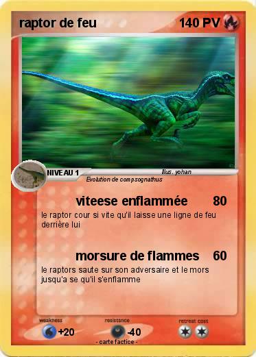 Pokemon raptor de feu