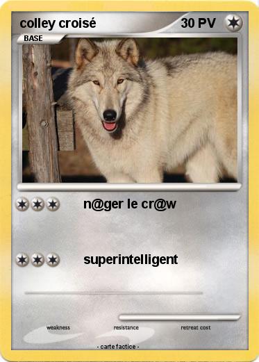 Pokemon colley croisé