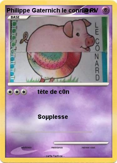 Pokemon Philippe Gaternich le conn@rd
