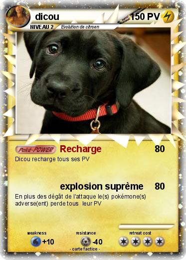 Pokemon dicou