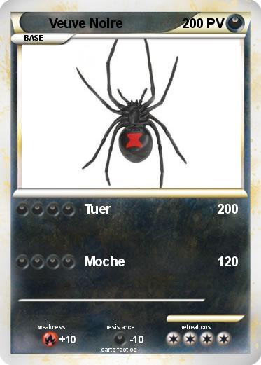Pokemon Veuve Noire