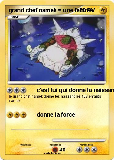 Pokemon grand chef namek = une femme