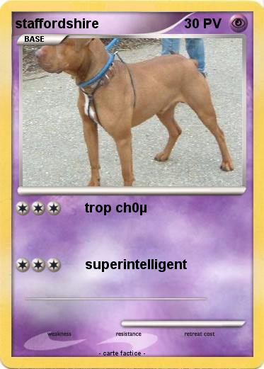 Pokemon staffordshire