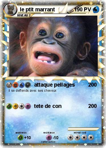 Pokemon le ptit marrant